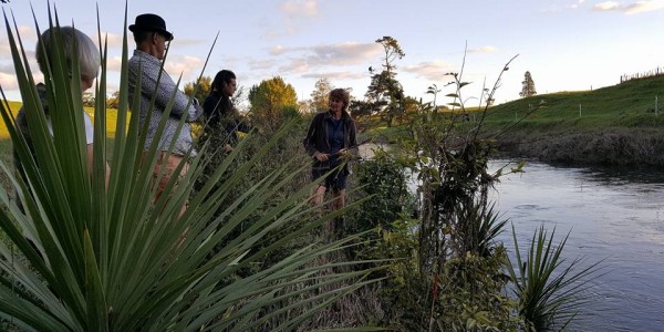 Restoration_of_Tributary_of_Piako_River_2016.jpg
