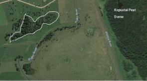 Piako_Catchment_Forum_Project_List_23.jpg